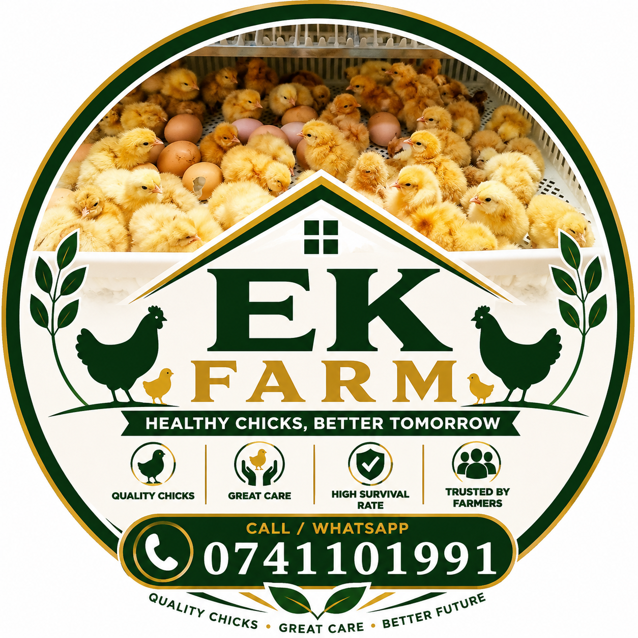 chick