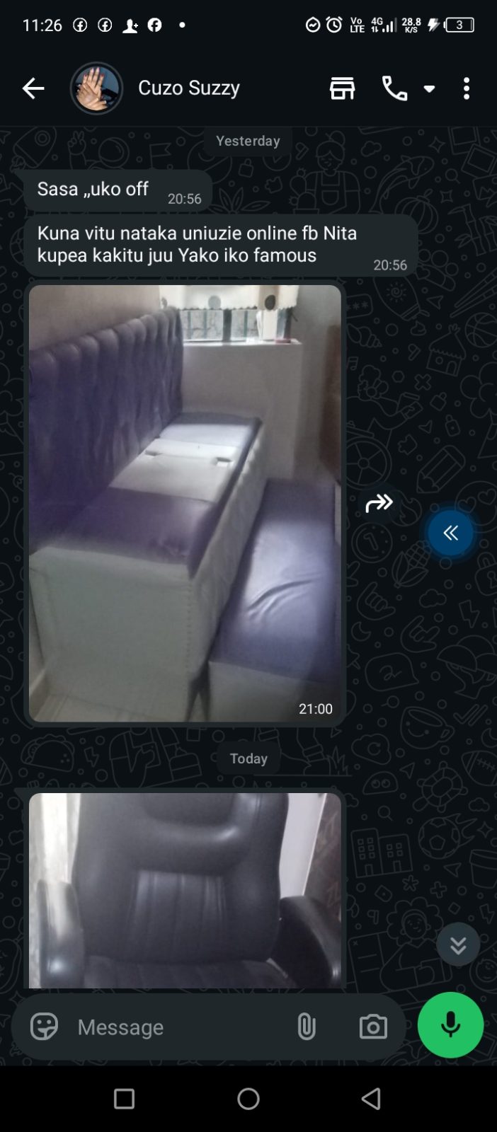 Professional salon beauty bed